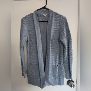 L.L. Bean Light Blue Knit Cardigan